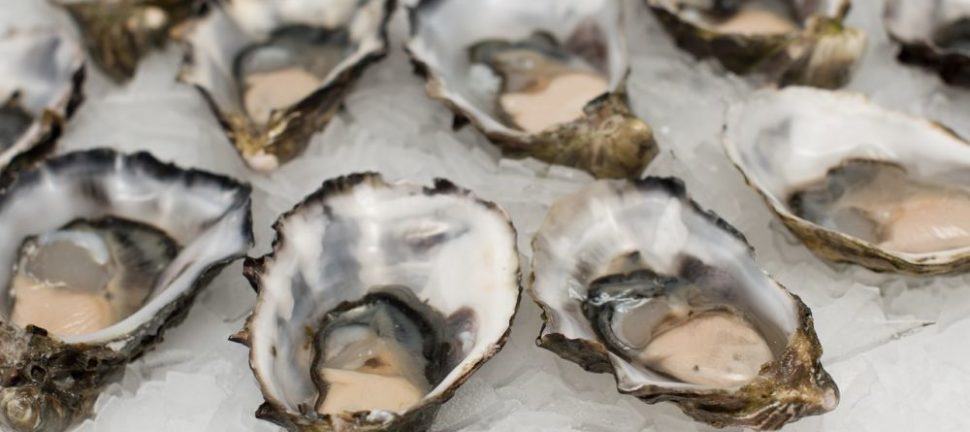 Brunch Svendborg: En kulinarisk oplevelse ved havet